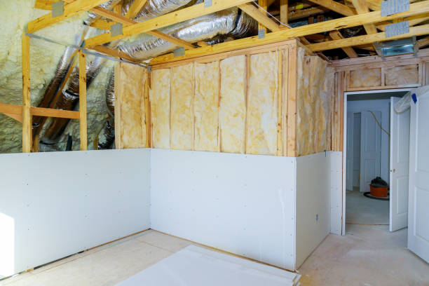 Best Insulation Maintenance and Repair in Holstein, IA