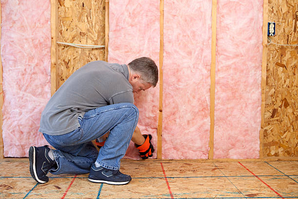 Best Insulation Maintenance and Repair in Holstein, IA